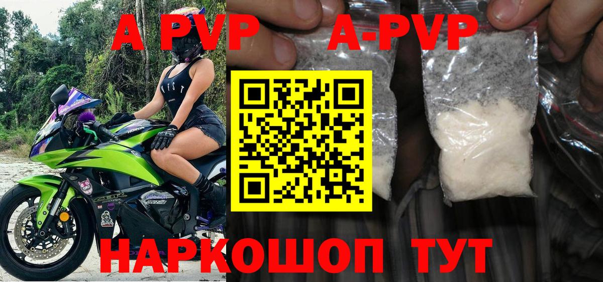 Alfa_PVP СК Майкоп